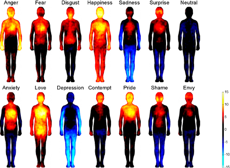 mapa topografie emocí v těle
